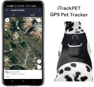 GPS Cell Phone Pet Tracker Realtime Tracking Device for Pet Security Size:L