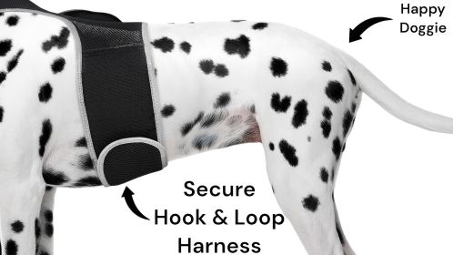 GPS GSM Pet Locating Realtime Waterproof Device for Dogs/Cats/Puppies Size:L