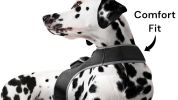 Heavy Duty GSM Pet GPS Tracking System Pet Tracker Rechargeable Collar Mount Tracker Size:L