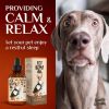 H–µmp Oil for Dogs Cats Hi—Ä and J–æint Supp–ært and Skin H–µalth Anxi–µty C–∞lm P–∞in Omega 3 6 9 and Vit–∞mins B C E