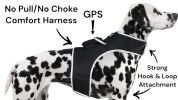 Collar Mount Mini Pet GSM GPS Tracking Device for Dogs with Mobile App Size:L