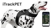 GSM GPS Dog Trackers Waterproof Realtime Pet Tracking Device with App Size:L