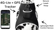 Collar Mount Mini Pet GSM GPS Tracking Device for Dogs with Mobile App Size:L