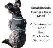 Collar Mount Mini Pet GSM GPS Tracking Device for Dogs with Mobile App Size:L