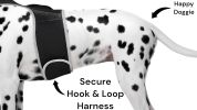 GPS Collar Pet Locating Device Waterproof Rechargeable Tracking Device Size:L