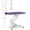 42.5INCH HYDRAULIC PET GROOMING TABLE