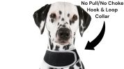 Convenient Pet Location Tracking Realtime Waterproof GSM GPS Tracker Size:L