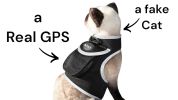 Anti-Pet Lost Waterproof Pet Tracker Rechargeable GSM GPRS Tracking Size:L