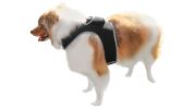 Collar Mount Mini Pet GSM GPS Tracking Device for Dogs with Mobile App Size:L