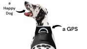 GPS Locator for Dogs with Perimeter Fence Realtime Pet Tracking System Size:L